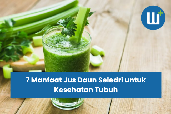 7 Manfaat Jus Daun Seledri untuk Kesehatan Tubuh